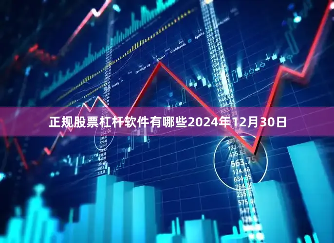 正规股票杠杆软件有哪些2024年12月30日