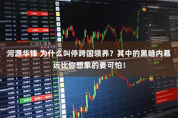 河源华锋 为什么叫停跨国领养?其中的黑暗内幕远比你想象的要可怕!
