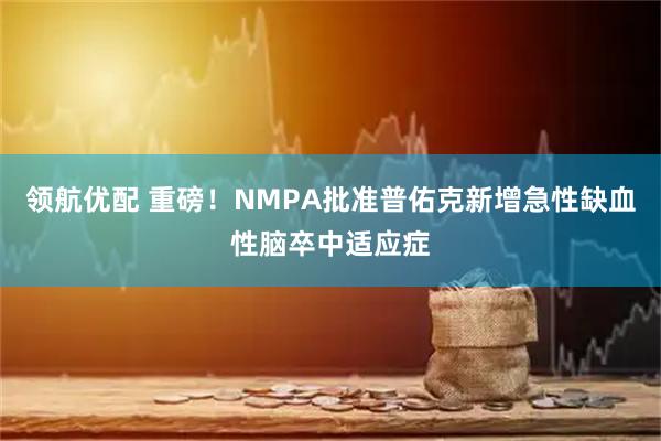 领航优配 重磅!NMPA批准普佑克新增急性缺血性脑卒中适应症