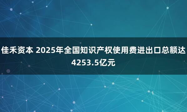 佳禾资本 2025年全国知识产权使用费进出口总额达4253.5亿元
