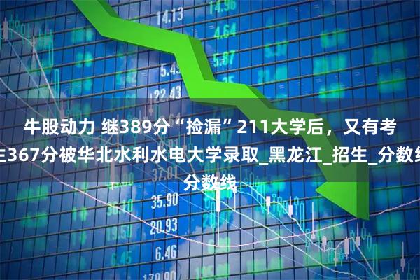 牛股动力 继389分“捡漏”211大学后,又有考生367分被华北水利水电大学录取_黑龙江_招生_分数线