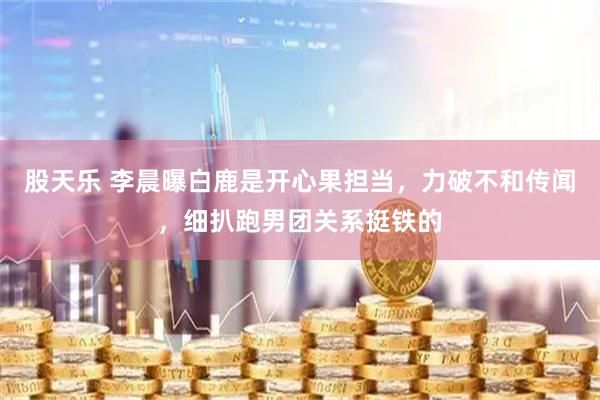 股天乐 李晨曝白鹿是开心果担当，力破不和传闻，细扒跑男团关系挺铁的